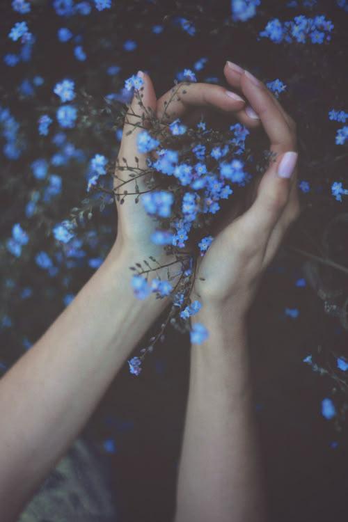 Secret Garden: Whispers of Elegance